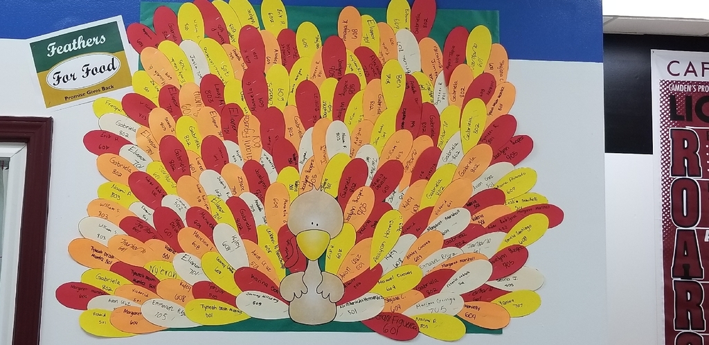 Just some of the feathers on one of our Promise turkeys
